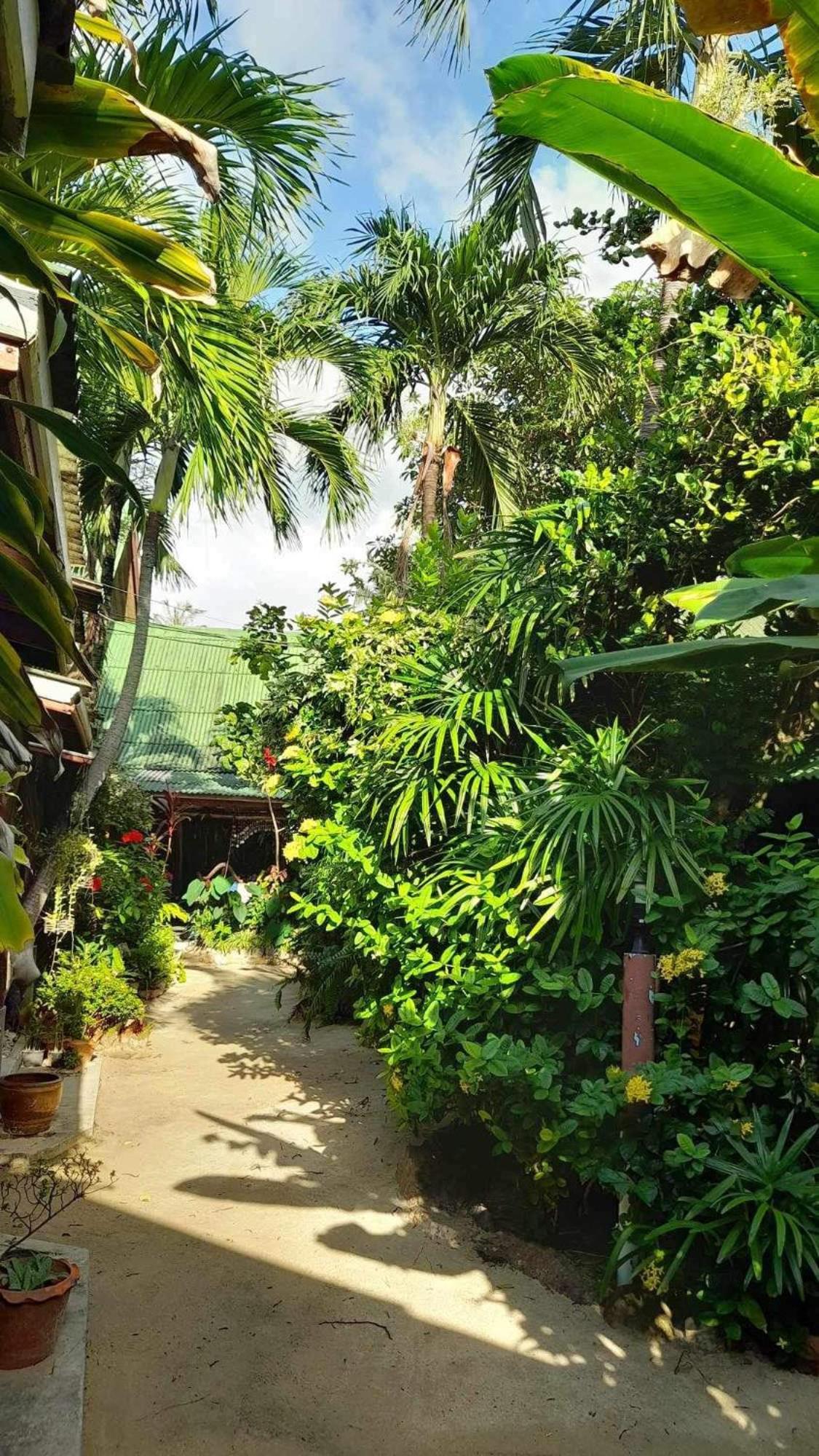 Beer'S House Bungalows เบียร์เฮ้าส์บังกะโล Ban Lamai Exterior foto